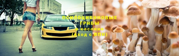 гидропоника Медвежьегорск