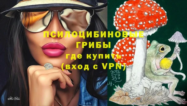 гидропоника Медвежьегорск
