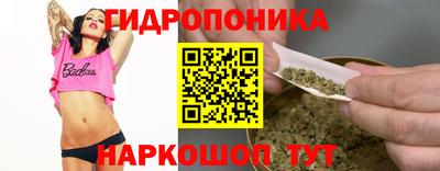 мдпв Кимры