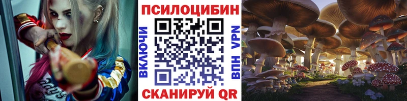 Галлюциногенные грибы Cubensis  как найти закладки  Сочи 