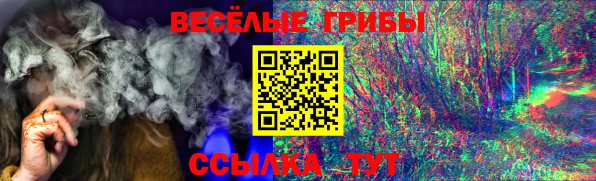 Сочи  наркошоп  Вход с VPN  Галлюциногенные грибы Cubensis 